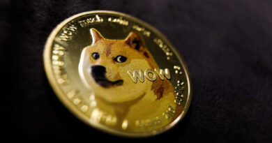 Dogecoin Price Roadmap To $5: These 5 Bullish Factors Lead The Way