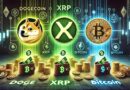Dogecoin Supply In Profit Hits 77.9%, But XRP, BTC Far Ahead