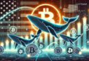 American Whales Back Bitcoin Rally: Coinbase Premium Surging
