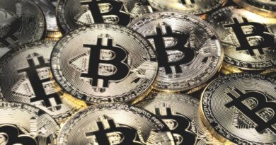 Bitcoin Classic Whales Remain Unmoved As BTC Price Struggles Above $102,000 Line