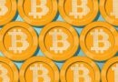Bitcoin Large Holders Leading The Charge With A Notable Increase In Their Supply Count