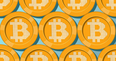 Bitcoin Large Holders Leading The Charge With A Notable Increase In Their Supply Count