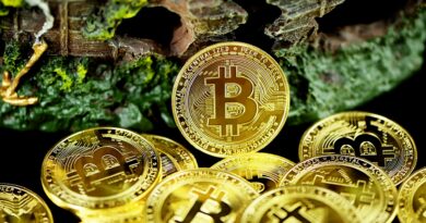 Bitcoin Recovery Gains Momentum While Network Activity Remains Muted – Risk Ahead?