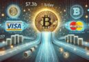 Bitcoin Settling $7.3B/Day In Volume: How Does Visa Compare?