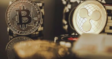 Here’s What The Ripple CEO Had To Say About The Bitcoin Vs. XRP Debate