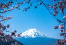 Ripple And Japan’s Web3 Salon Spark Asia Innovation
