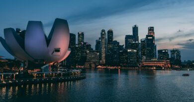 Singapore Bans Crypto Service Exports Starting June 30