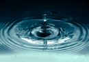 Wait—Ripple Came Before Bitcoin? Newly Uncovered Document Says So