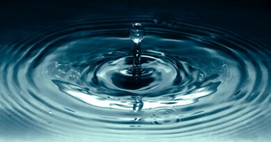 Wait—Ripple Came Before Bitcoin? Newly Uncovered Document Says So