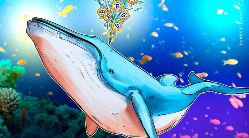 $8.6B Bitcoin whale transfer shows no signs of sell-off: Arkham