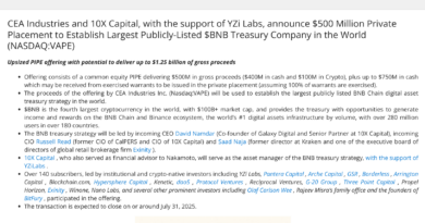 Best Crypto to Buy as Company Aims for Biggest BNB Treasury in the World