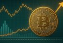Bitcoin Binary CDD Confirms Long-Term Confidence: Strong HODLer Conviction