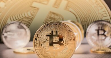 Bitcoin Whales Inflow To Crypto Exchanges Spikes – What’s Driving The Surge?