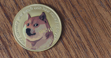 Dogecoin Price Eyes 58% Move Upward If This Major Level Is Broken
