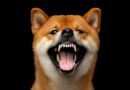 Dogecoin Replicates Bullish Wave From Nov 2024 — Why Price Can Rocket Above $1
