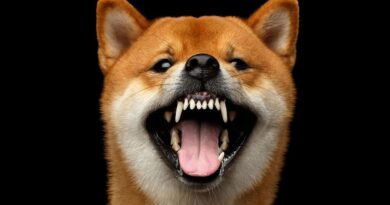 Dogecoin Replicates Bullish Wave From Nov 2024 — Why Price Can Rocket Above $1