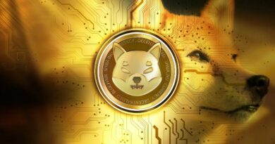 Shiba Inu Team Unveils New Developer Hub Updates — Here’s The 411