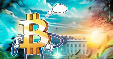 White House crypto report a mixed bag for Bitcoin advocates