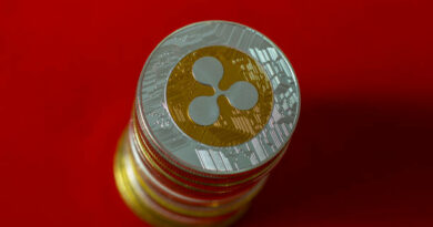 XRP As The World’s Leading Bridge Currency — German VC CEO Outlines The Possibilities