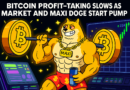 Bitcoin Profit-Taking Slows as Market and Maxi Doge Start Pump