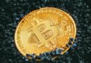 Expert Says BTC Might Be Near Its Ceiling