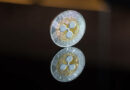 Market Cap Not A Hindrance To XRP Price Reaching $1,000, Expert Explains Why