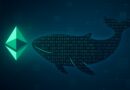 Mysterious Whale Buys $123M In Ethereum: Quiet Smart Money Accumulation?