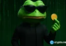 Pepe Coin tanks below key support, a deeper decline awaits