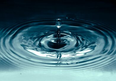 Ripple CTO Jumps Into The Fray After Caitlin Long Bashes XRP With Centralization Claims