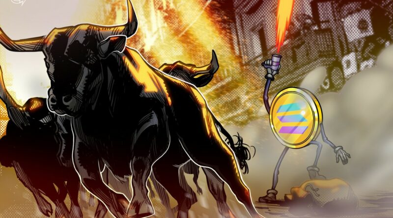 SOL chart is the most bullish in crypto right now: Is $260 next?