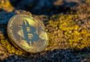 United States’ Bitcoin Holdings Top $24 Billion After Ruling Out Buying