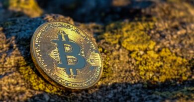 United States’ Bitcoin Holdings Top $24 Billion After Ruling Out Buying