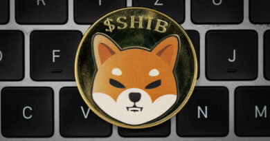 What The LEASH V2 Launch Means For Shiba Inu Holders