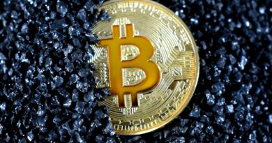 Winklevoss Twins Inject Bitcoin Into Trump-Linked Mining Venture