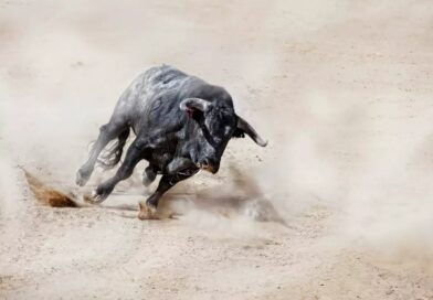 XRP Gains Momentum As Analyst Calls It The Smartest Crypto To Buy