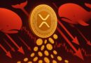 XRP Whales Unload Holdings – Clear Distribution in Progress