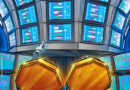Market crash 'does not have long-term fundamental implications' — Analyst