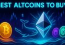 Best Altcoins to Buy After Sudden Whale Shift from Bitcoin to Ethereum