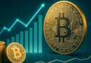Bitcoin Accumulator Demand Skyrockets To Record 266K BTC – Strong Holder Conviction