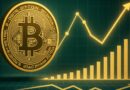 Bitcoin Scarcity Index Spikes For First Time Since June: Accumulation In Play?