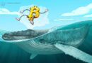 Bitcoin whales dump 115,000 BTC in biggest sell-off since mid-2022