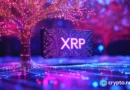 XRP price forms hammer candle ahead of permissioned DEX launch