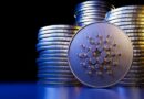Cardano Bullish Bets: Daily Trading Volume Explodes With ETF Listing Buzz – What To Know