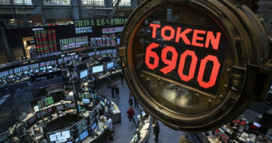 Dernières 24h pour acheter TOKEN6900 avant le claim !