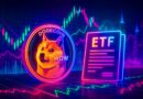 Dogecoin News: Wie DOGE jetzt mit einem ETF erwachsen wird