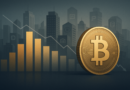 Is Bitcoin Treasury Hype Fading? Data Suggests So