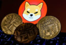 Shiba Inu Exec Gives Reasons To Keep Going Despite SHIB Price Crash