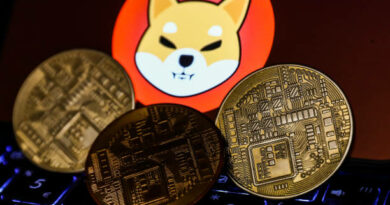 Shiba Inu Exec Gives Reasons To Keep Going Despite SHIB Price Crash