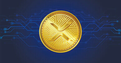 Uphold’s Massive 1.59 Billion XRP Holdings Shocks Community, CEO Reveals The Real Owners