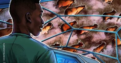 'Very high chance' this is the start of the crypto bull market: Trader